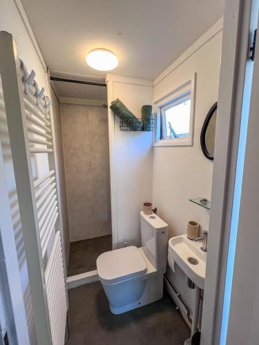 a small bathroom with a toilet and a sink at Chalet Siësta in Anloo - Next to the forest in Anloo