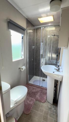a bathroom with a shower and a toilet and a sink at Rowanlea Caravan in Stonehaven