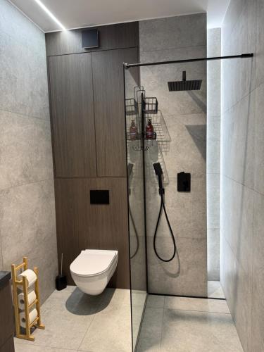 a bathroom with a toilet and a glass shower at Piska Przystań in Pisz