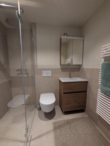 a bathroom with a toilet and a shower and a sink at Sunshine Suite in Ingenbohl