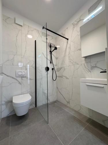 a bathroom with a toilet and a glass shower stall at Zbilje Lakeside Apartment in Medvode