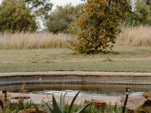 a pool of water in a field with a tree at Butjani Lodge in Cullinan