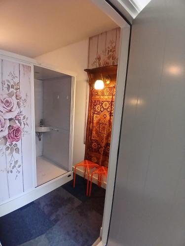 a bathroom with a walk in shower next to a door at Bed and Breakfast Reestdal in Meppel
