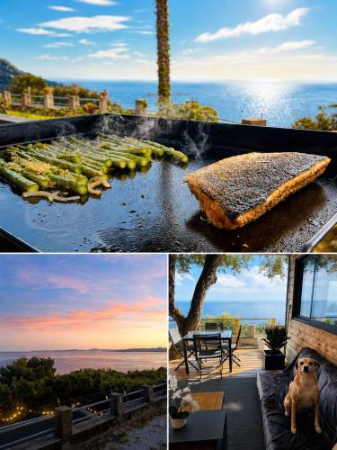 Fantastic new lodge with ocean view