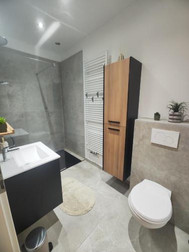a bathroom with a sink and a toilet and a shower at L'atelier in Verviers