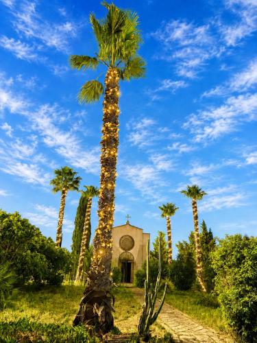 a palm tree with a church in the background at Tenuta del salento in Galatina