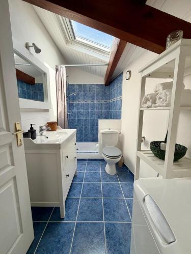 a bathroom with a toilet and a sink at Maisonnette près du lac in Léon