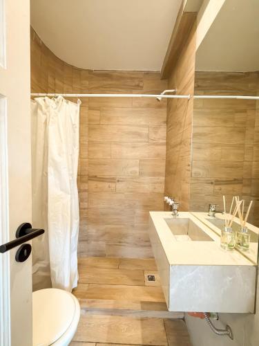 a bathroom with a sink and a toilet at Comodo dpto para 2 en pleno centro de Salta - Bonavista Rentals in Salta