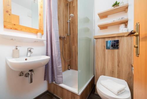 a bathroom with a shower and a sink and a toilet at Dünenrose in Thiessow