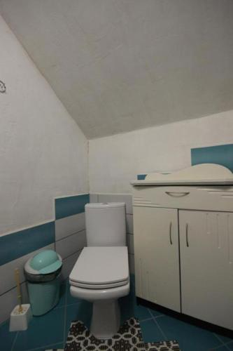 a bathroom with a white toilet in a room at Guest house Alyaska in Bukovel