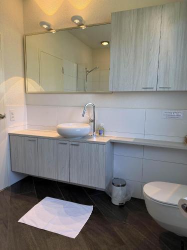Casa Ermenegilda, 4,5-Zimmerhaus by HolAp SA
