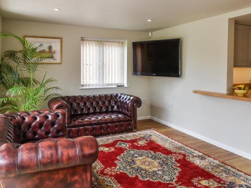 a living room with a leather couch and a television at Swallowtail Lodge in Brundall