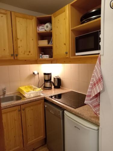 a kitchen with a sink and a stove top oven at Résidence les églantines in Le Mélézet