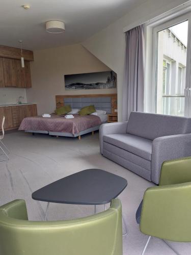 Aparthotel Apartamenty Czarna Góra 311