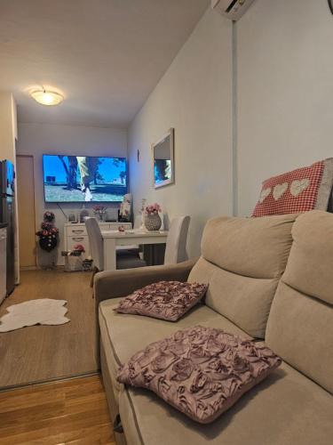 Apartment Toni