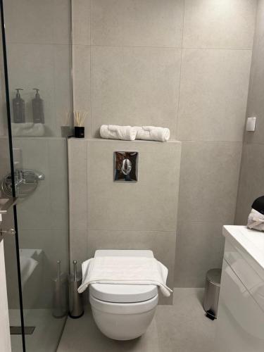 a bathroom with a toilet and a shower with towels at PJ Properties Studio in Sounio steps away from the beach in Sounio