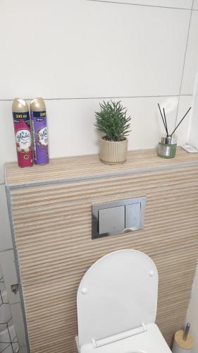 a bathroom with a toilet and a shelf with two canisters at Apartman Noemi in Apševci