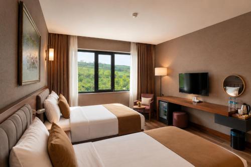 a hotel room with two beds and a television at Hilas Thermal Resort Spa & Aquapark in Ladik
