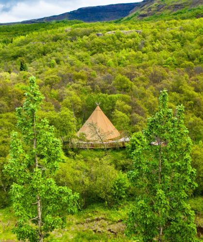 a tent in the middle of a field with trees at Hotel Hallormsstadur in Egilsstaðir