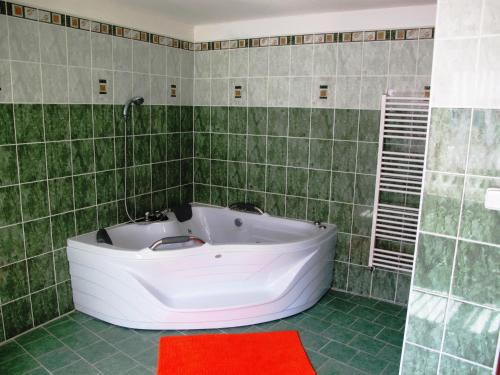 Ванная комната в Hotel U Lišky