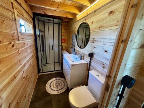 a bathroom with a toilet and a sink and a mirror at Encanto de Azeitão in Aldeia de Irmãos