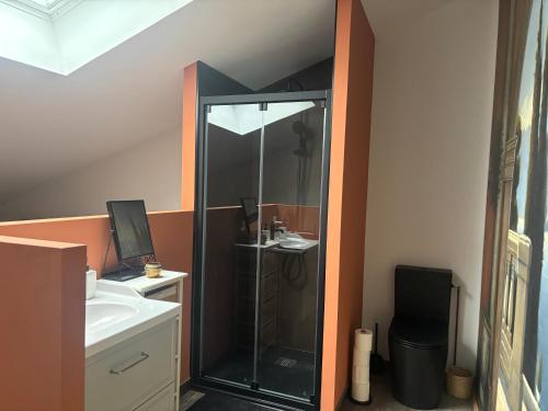 a bathroom with a shower and a sink at Gîte casa cosy in Salies-de-Béarn