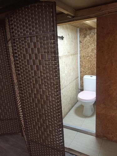 a bathroom with a toilet and a shower stall at Синие домики in Borovoye