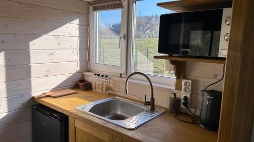 a kitchen with a sink in a tiny house at Prozori Boiky in Lopushanka-Khomyna