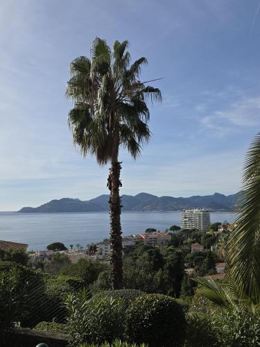 L'Ecrin Lolita Cannes - Exceptionnel photo 28