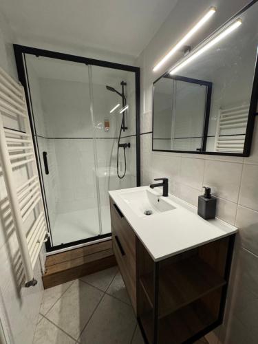 a bathroom with a shower and a white sink at bas de Villa "Le Tiste" in Valensole