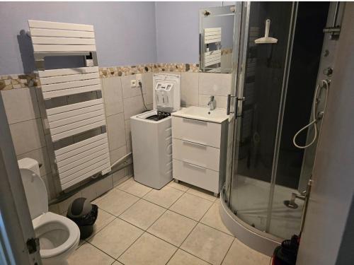 a small bathroom with a sink and a shower at Chez les chtis de vayrac in Vayrac