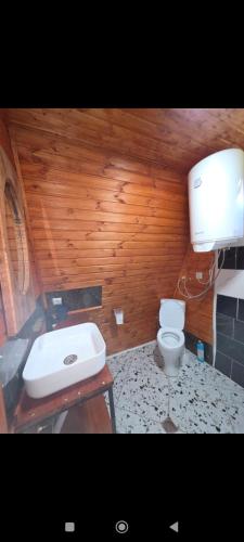 a bathroom with a white sink and a toilet at Cottage Irko in Tvebishi