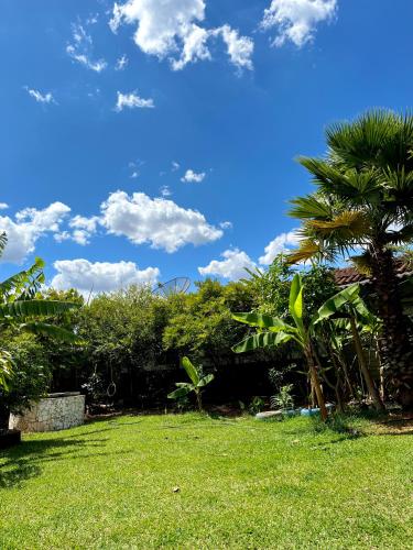 a green yard with a palm tree and a blue sky at Hotel Montreal in Abadiânia