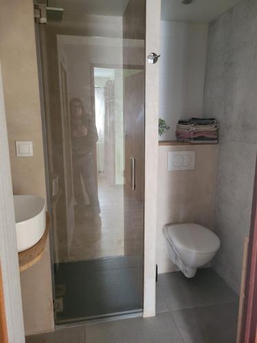 a person taking a picture of a bathroom with a toilet at appartement leauma in Guillestre