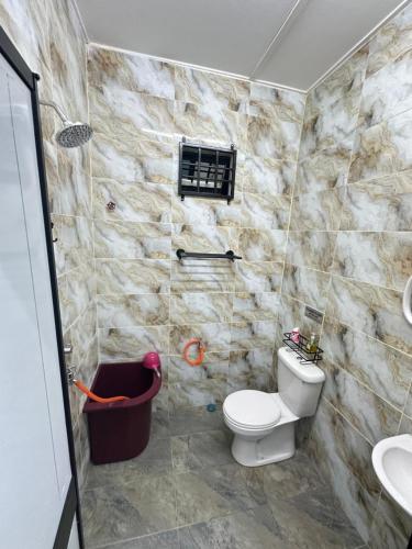 a bathroom with a toilet and a sink at Homestay Anaza in Kampong Balai Maras
