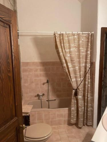 a bathroom with a tub and a toilet and a shower curtain at Château de Savigny - Suite Terre in Savigny