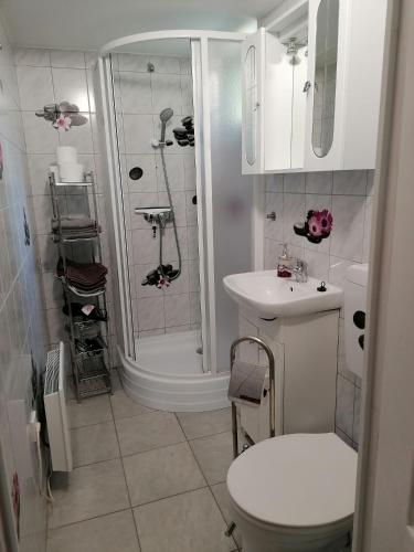 a bathroom with a shower and a toilet and a sink at Veronica nyaralóház in Zamárdi