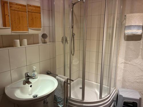 a bathroom with a sink and a shower at Haus Chiemseeblick in Grabenstätt