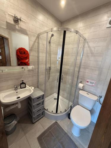 a bathroom with a shower and a toilet and a sink at Pokoje ALbert UL GDAŃSKA 40 in Krynica Morska
