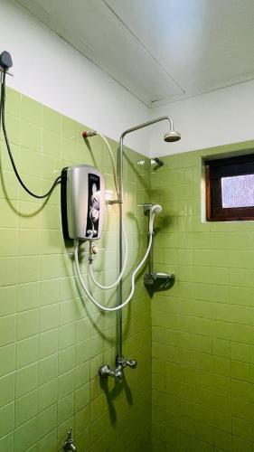 a green bathroom with a shower with a soap dispenser at Mountain Lodge Ella in Bandarawela