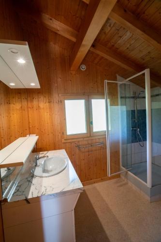 Chalet Picard - Châtel Réservation