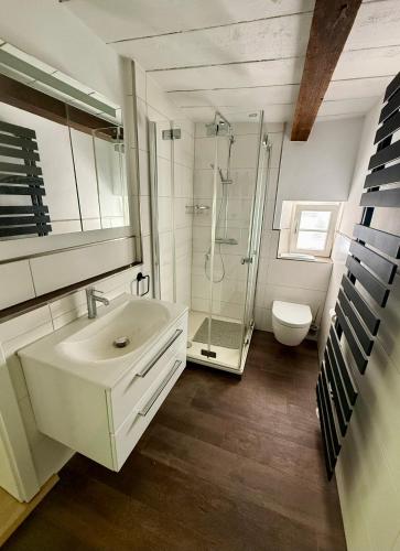 a bathroom with a sink and a shower and a toilet at Im Dörnchen in Mettmann