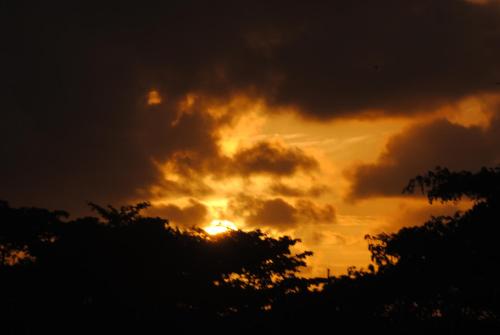 an image of a sunset behind some trees at Fajardo Peaceful Place in Playa Sardinera