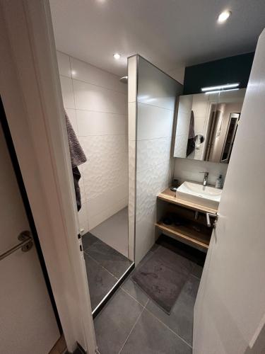 Appartement La Jonction CHAMONIX