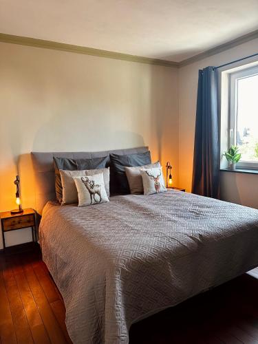 a bedroom with a bed with pillows and a window at Hirschquartier in Hachenburg