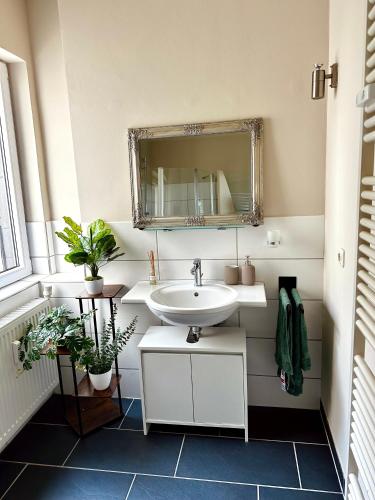 a bathroom with a sink and a mirror at Hirschquartier in Hachenburg