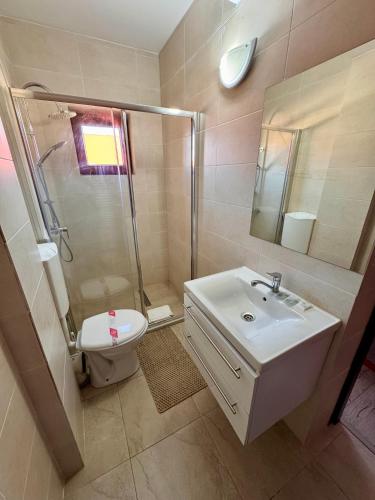 a bathroom with a sink and a shower and a toilet at Hotel Tata Si Fii in Bechet