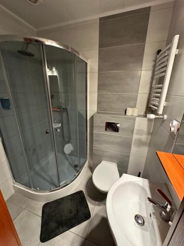 a bathroom with a shower and a toilet and a sink at Bianco - pokoje noclegowe in Częstochowa