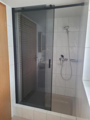 a shower with a glass door in a bathroom at Rest. Beaver Creek Ranch in Rothenthurm