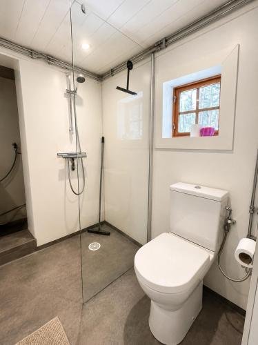 a bathroom with a toilet and a glass shower at Cabin in the Woods in Malung
